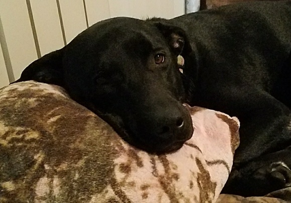 *Read before purchasing from me* - Picture 2 of 4